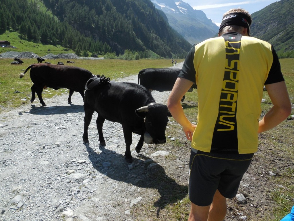 Pavel Brýdl v závodě Sierre – Zinal, Švýcarsko