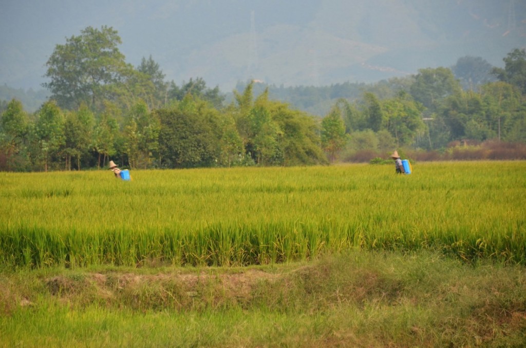 Travel4Ever: Na kole čínskými vesničkami