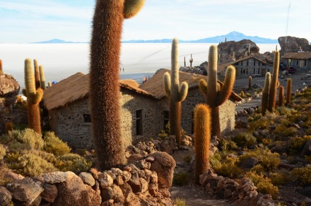 Ostrov kaktusů - Isla del Pescado