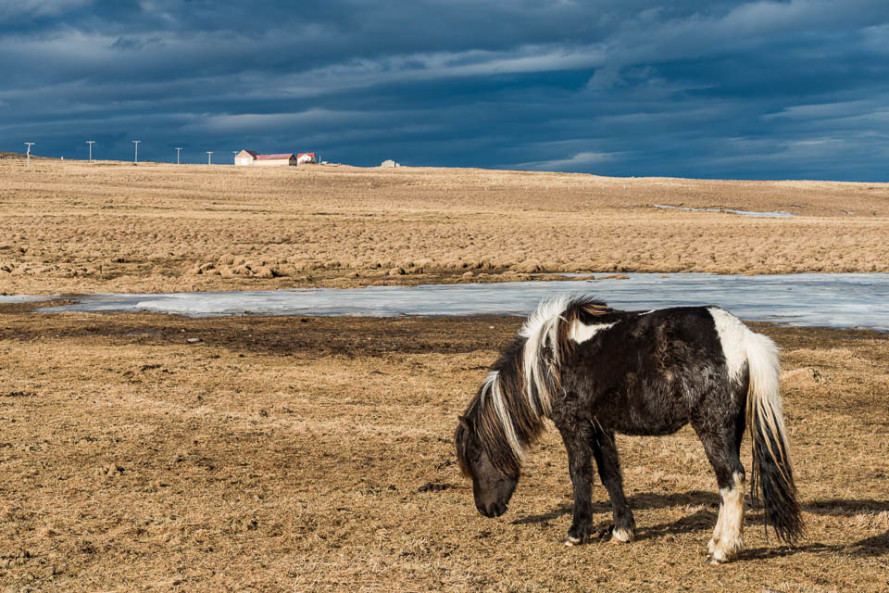 Islandské vnitrozemí